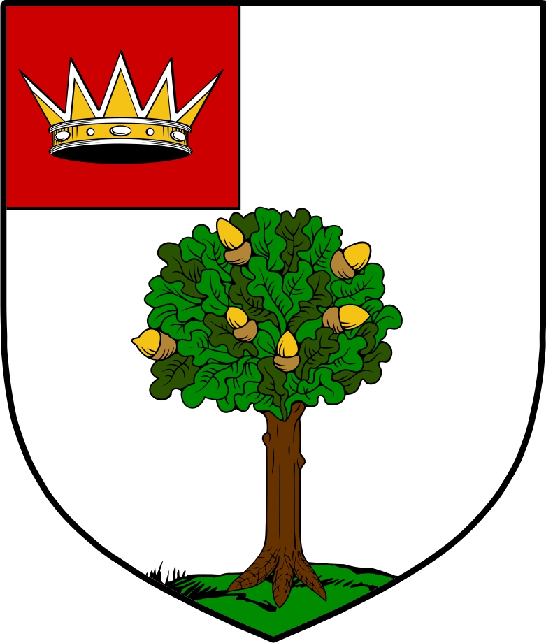 Product picture MacEnchroe Family Crest / Irish Coat of Arms Image Download