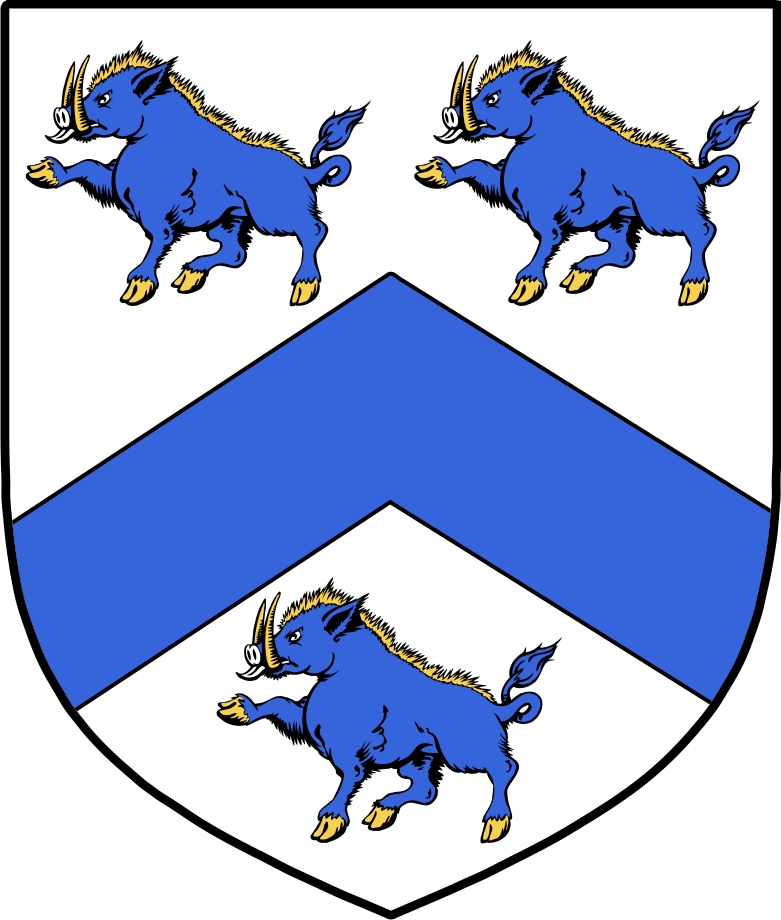 Product picture MacGann Family Crest / Irish Coat of Arms Image Download