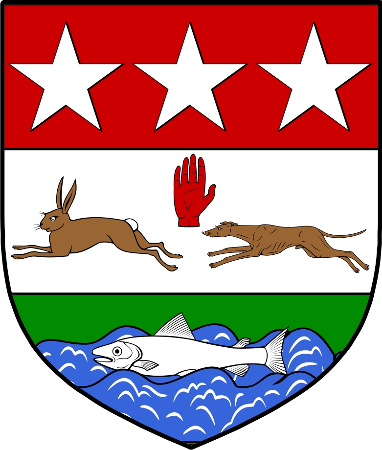 Product picture MacGaughney Family Crest / Irish Coat of Arms Image Download