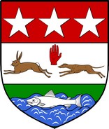 Product picture MacGaughney Family Crest / Irish Coat of Arms Image Download