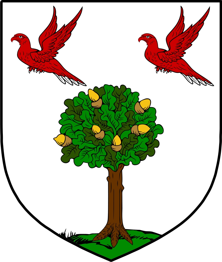 Product picture MacGeraghty Family Crest / Irish Coat of Arms Image Download