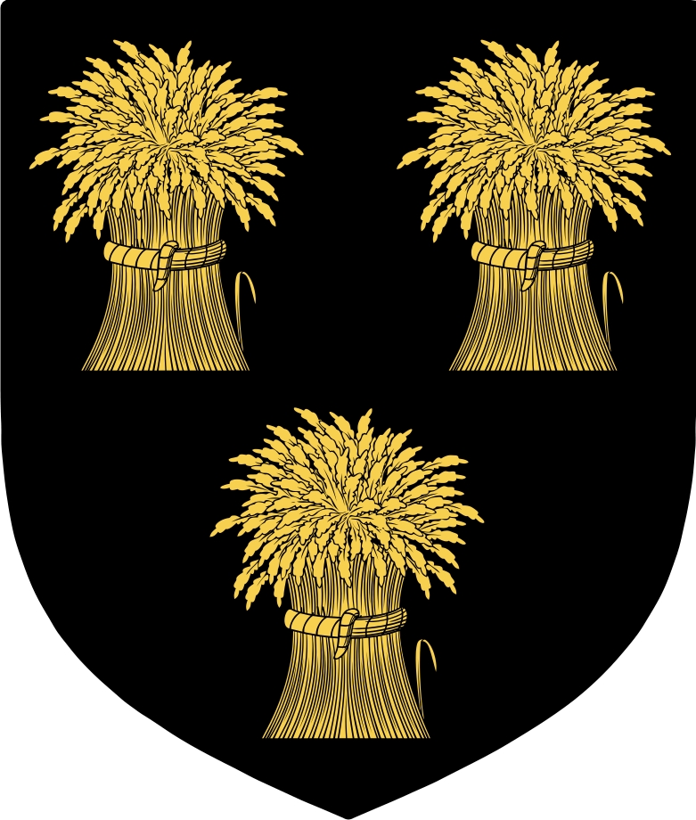 Product picture MacMorogh  Family Crest / Irish Coat of Arms Image Download