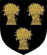 Product picture MacMorogh  Family Crest / Irish Coat of Arms Image Download