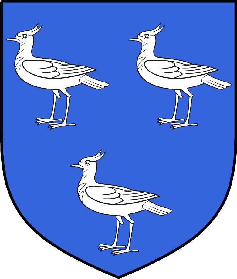 Product picture Magill Family Crest / Irish Coat of Arms Image Download