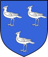 Product picture Magill Family Crest / Irish Coat of Arms Image Download