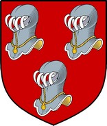 Product picture Minnitt Family Crest / Irish Coat of Arms Image Download