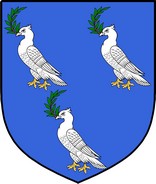 Product picture Naish Family Crest / Irish Coat of Arms Image Download