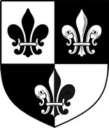 Product picture Nelson  Family Crest / Irish Coat of Arms Image Download