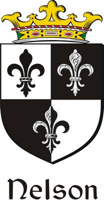 Product picture Nelson Family Crest / Irish Coat of Arms Image Download