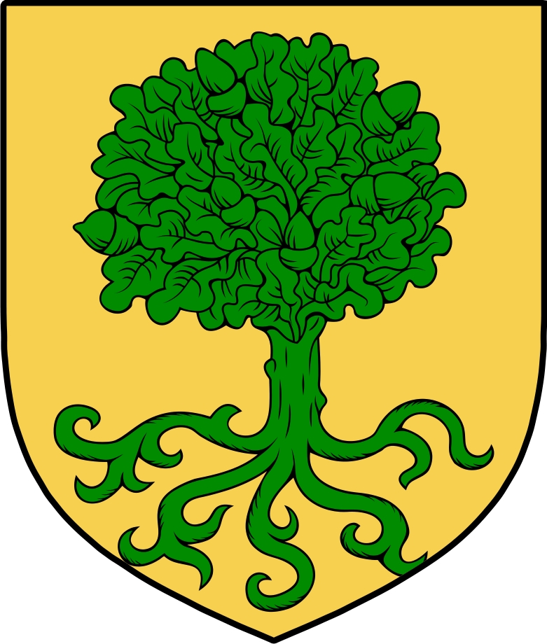 Product picture O&lsquo;Boyle Family Crest / Irish Coat of Arms Image Download