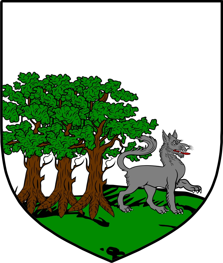 Product picture O&lsquo;Callaghan Family Crest / Irish Coat of Arms Image Download