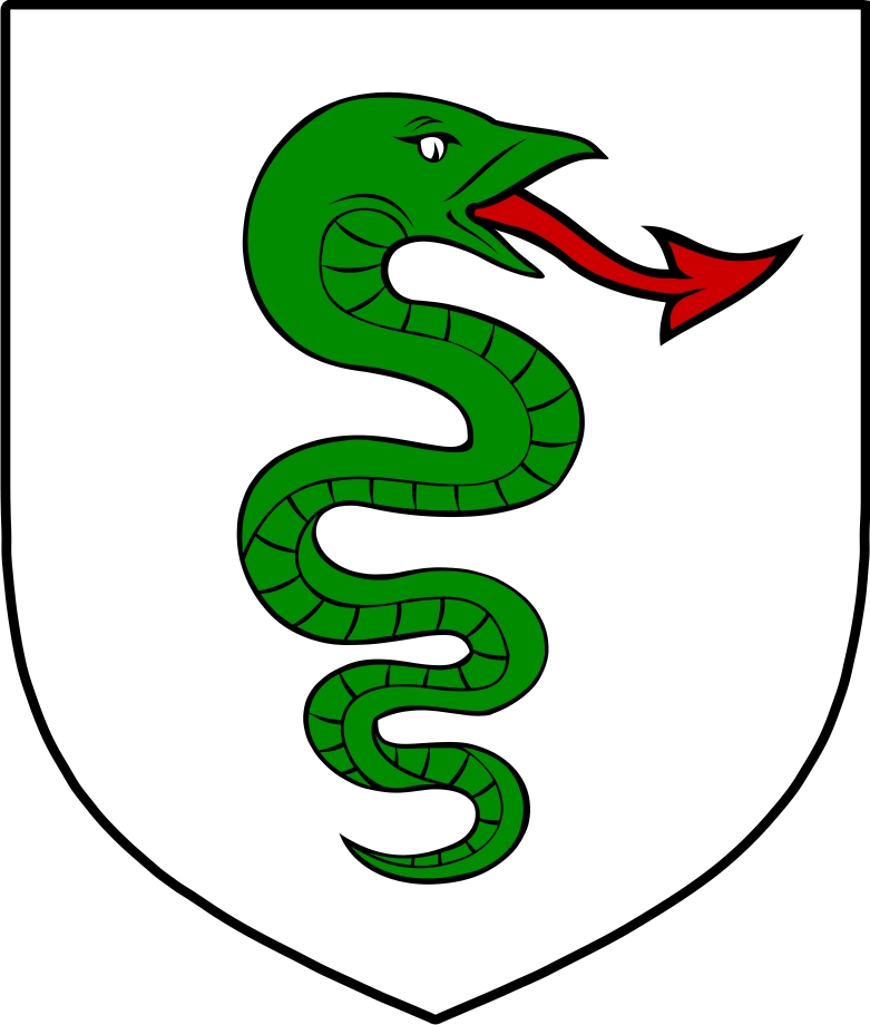 Product picture O&lsquo;Dane Family Crest / Irish Coat of Arms Image Download