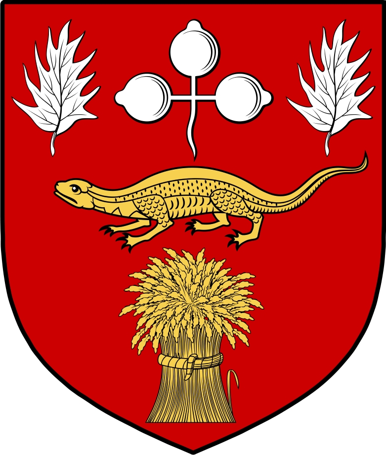 Product picture O&lsquo;Hanraghan Family Crest / Irish Coat of Arms Image Download