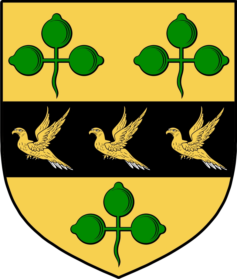 Product picture O&lsquo;Harty Family Crest / Irish Coat of Arms Image Download