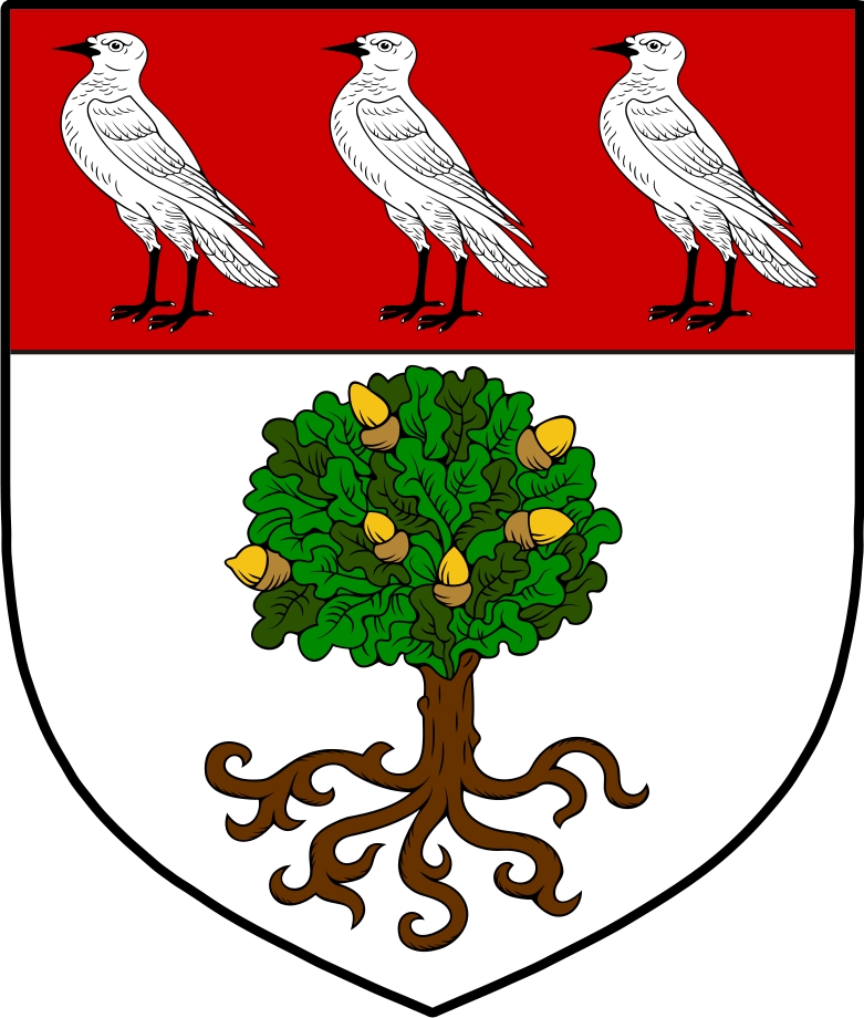 Product picture O&lsquo;Hegarty Family Crest / Irish Coat of Arms Image Download