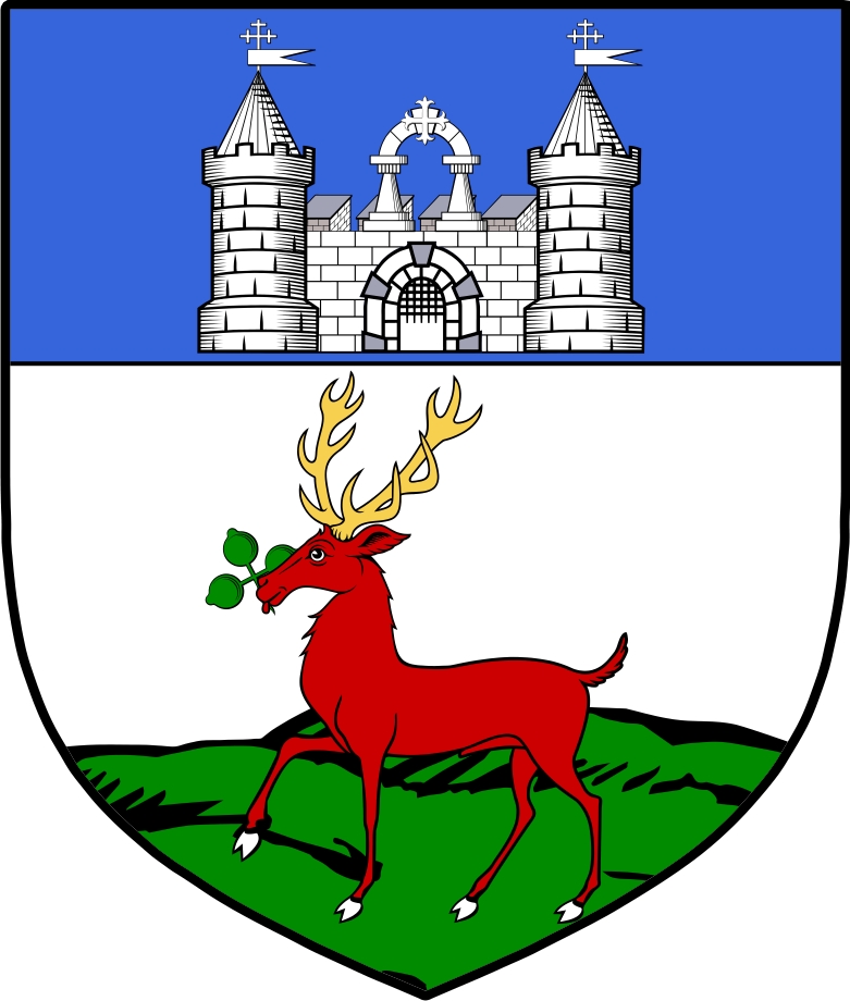 Product picture O&lsquo;Lenihan Family Crest / Irish Coat of Arms Image Download