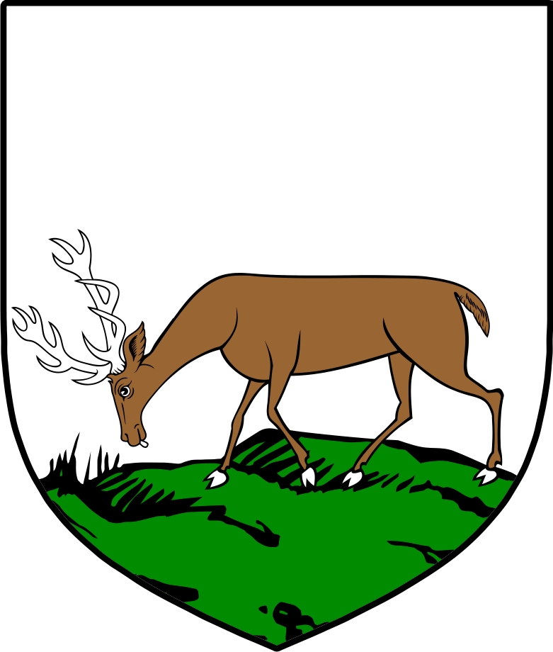 Product picture O&lsquo;Lennon Family Crest / Irish Coat of Arms Image Download