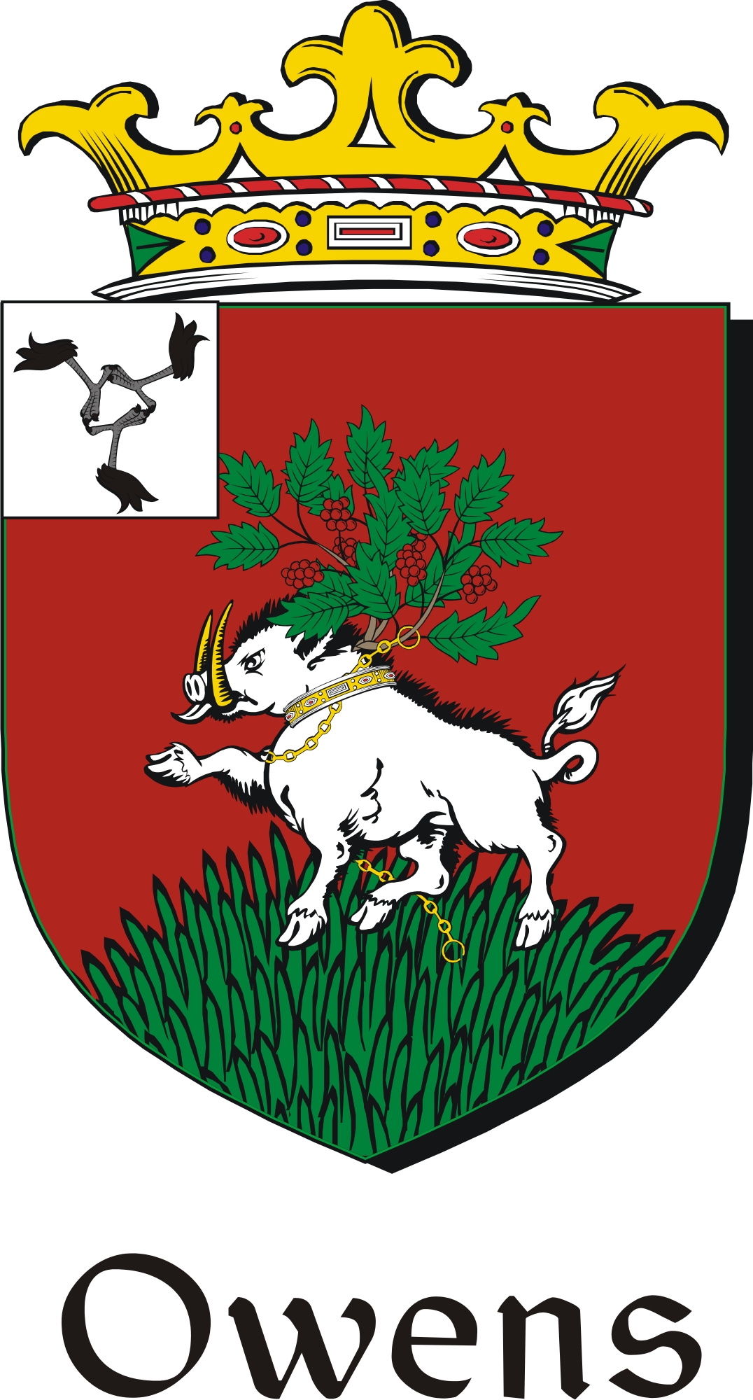 Product picture Owens Family Crest / Irish Coat of Arms Image Download