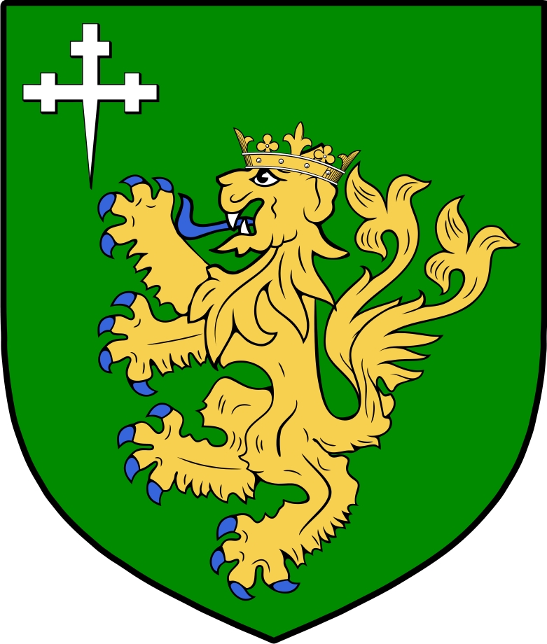 Product picture Paisley Family Crest / Irish Coat of Arms Image Download