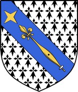 Product picture Petty Family Crest / Irish Coat of Arms Image Download