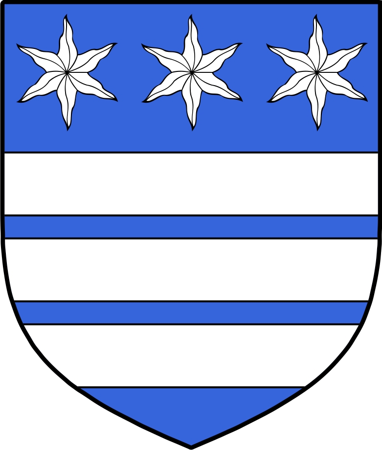 Product picture Pitt Family Crest / Irish Coat of Arms Image Download