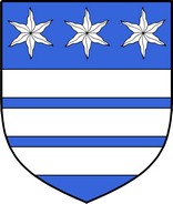 Product picture Pitt Family Crest / Irish Coat of Arms Image Download