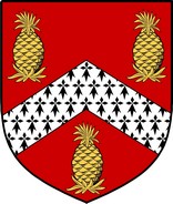 Product picture Pyne Family Crest / Irish Coat of Arms Image Download