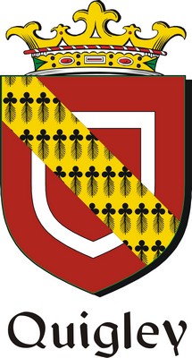 Product picture Quigley Family Crest / Irish Coat of Arms Image Download