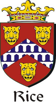 Product picture Rice Family Crest / Irish Coat of Arms Image Download