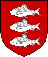 Product picture Roche  Family Crest / Irish Coat of Arms Image Download