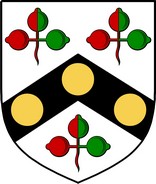 Product picture Roe  Family Crest / Irish Coat of Arms Image Download