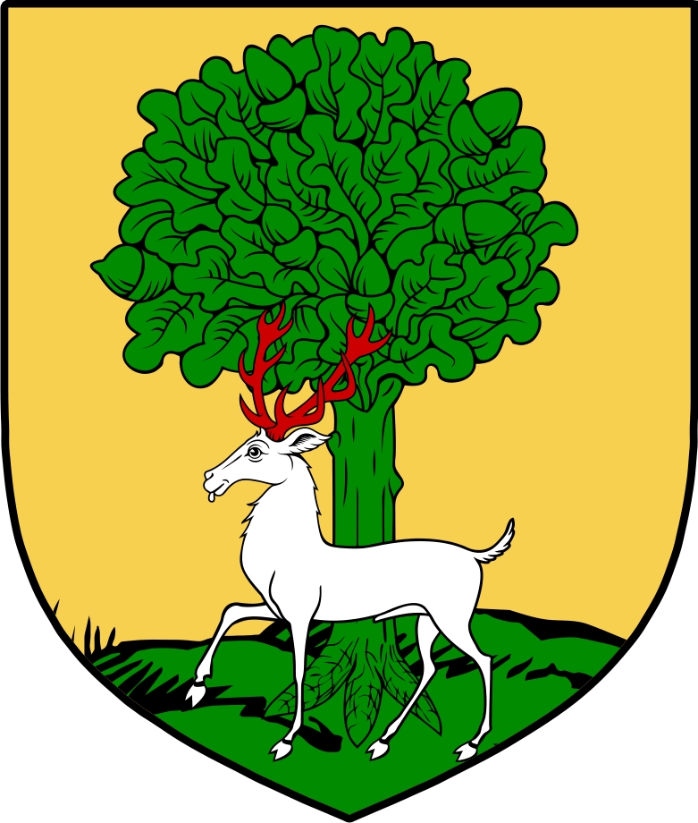 Product picture Rothe  Family Crest / Irish Coat of Arms Image Download