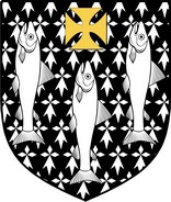 Product picture Salmon  Family Crest / Irish Coat of Arms Image Download