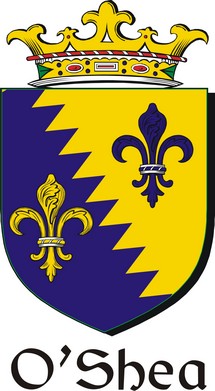 Product picture Shea-O Family Crest / Irish Coat of Arms Image Download