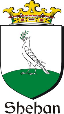 Product picture Shehan Family Crest / Irish Coat of Arms Image Download