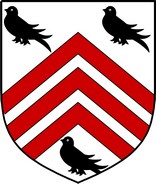 Product picture Singleton Family Crest / Irish Coat of Arms Image Download