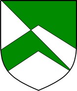 Product picture Stokes  Family Crest / Irish Coat of Arms Image Download