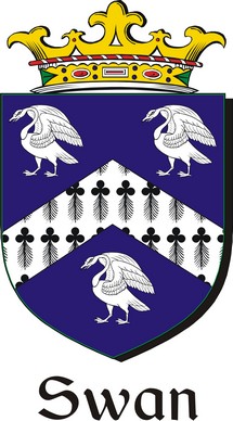 Product picture Swan Family Crest / Irish Coat of Arms Image Download