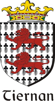 Product picture Tiernan Family Crest / Irish Coat of Arms Image Download