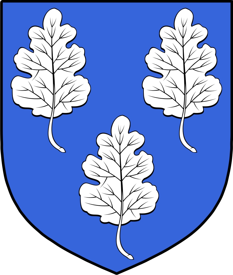 Product picture Tobin  Family Crest / Irish Coat of Arms Image Download