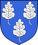 Product picture Tobin  Family Crest / Irish Coat of Arms Image Download