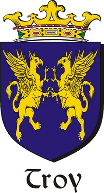 Product picture Troy Family Crest / Irish Coat of Arms Image Download