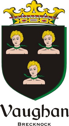 Product picture Vaughan2 Family Crest / Irish Coat of Arms Image Download