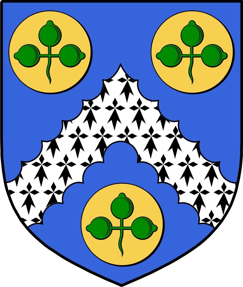 Product picture Waters  Family Crest / Irish Coat of Arms Image Download