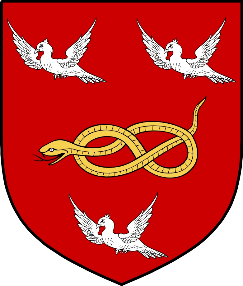 Product picture Wilde Family Crest / Irish Coat of Arms Image Download