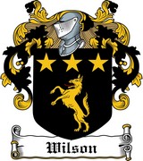 Product picture Wilson Family Crest / Irish Coat of Arms Image Download