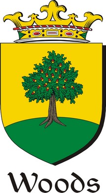 Product picture Woods-2 Family Crest / Irish Coat of Arms Image Download
