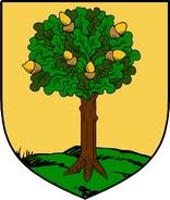 Product picture Woods Family Crest / Irish Coat of Arms Image Download