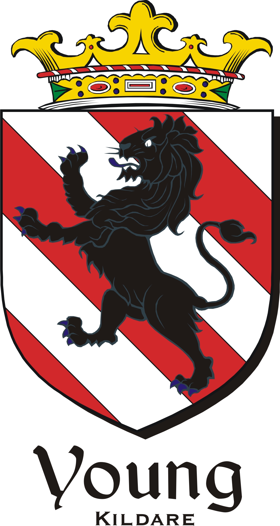 Product picture Young-Kild Family Crest / Irish Coat of Arms Image Download