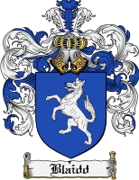 Product picture Blaidd Family Crest Blaidd Coat of Arms Digital Download